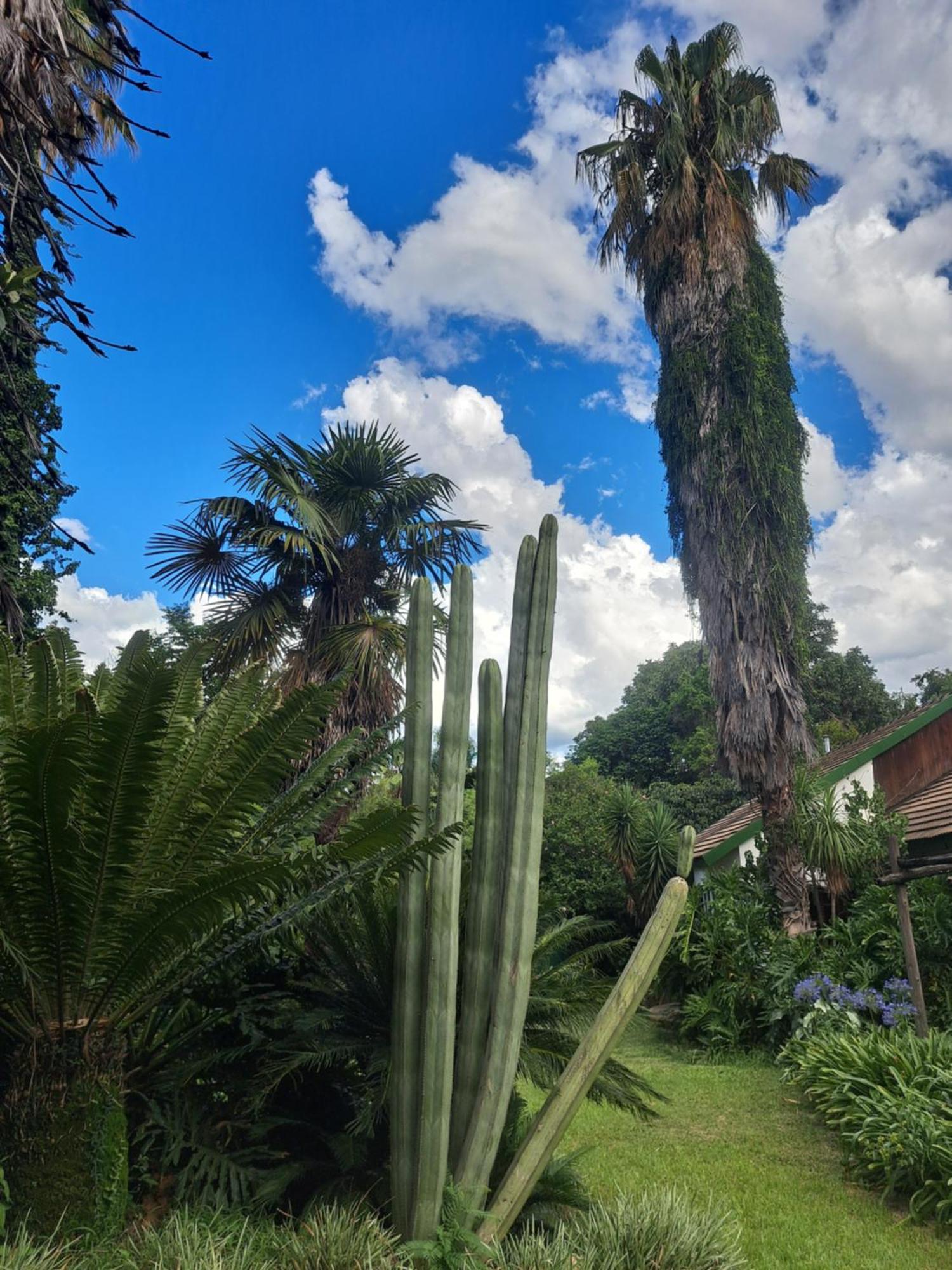 President Paul Kruger Guest Lodge Rustenburg Exterior foto